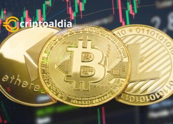¡Fiebre Cripto en Ascenso! Descubre quiénes brillan, quiénes se desploman y las rutas que debes seguir