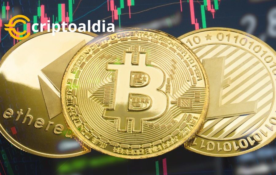 ¡Fiebre Cripto en Ascenso! Descubre quiénes brillan, quiénes se desploman y las rutas que debes seguir