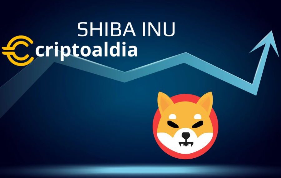 «¿La Próxima MemeCoin en Romper Récords? Desafía el Crecimiento del 570,000% de Shiba Inu.»