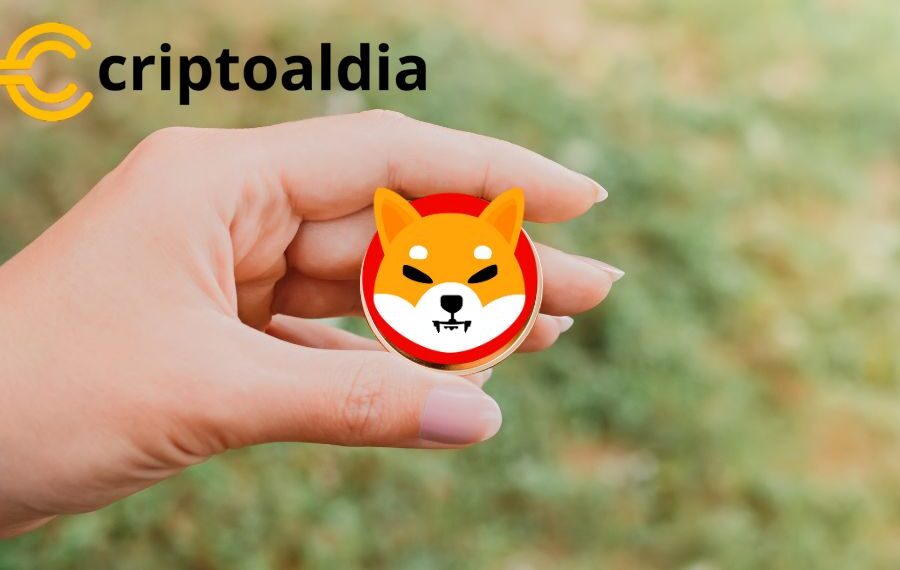 «¡Shiba Inu Revoluciona el Mercado! Su Volumen Aumenta a Pasos Agigantados.»