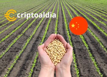 La UE Exige Compromiso Financiero de los Emiratos Árabes Unidos en la Cumbre COP28