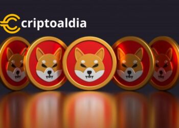 «Shiba Inu (SHIB): Transacciones Explotan con un Aumento del 420% en un Día»