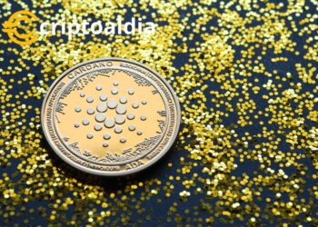Cardano Eleva su Juego: Revoluciona la Experiencia de Desarrolladores con Innovadora Herramienta Java