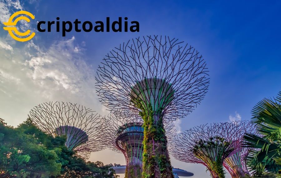 «Singapur Lidera la Vanguardia: Inicia Proyectos Innovadores para Testear Tokenización de Bienes»
