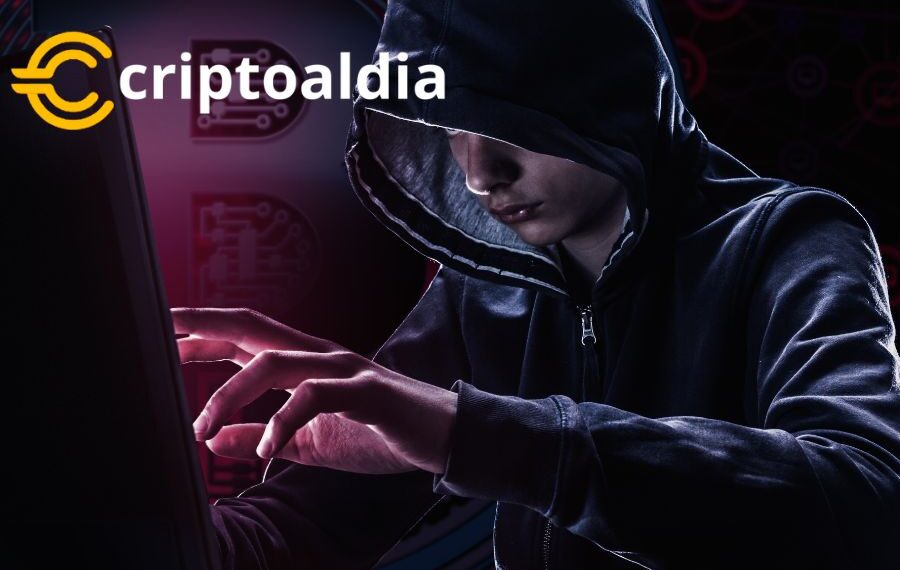 Informe Explosivo: Carteras de Criptomonedas en el Punto de Mira, ¿Está su Inversión en Riesgo?