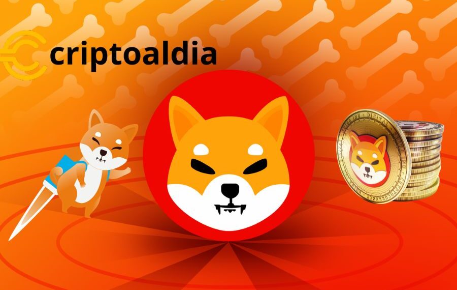 Shiba Inu Rompe Barreras: El Compromiso de Welly con Shibarium Blockchain