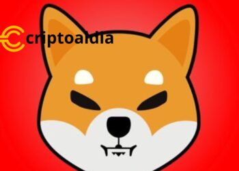 SHIB se Dispara un 48000%, Desencadenando Expectativas de un Resurgimiento para Shiba Inu