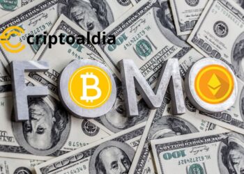 ¡FOMO en Criptomonedas! Un Vistazo Profundo al Boom de las Monedas Meme y NFT Pet-Rock:
