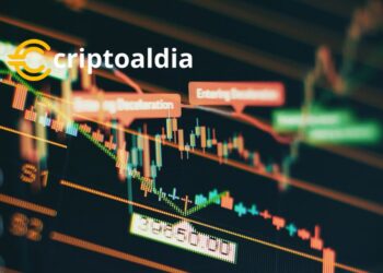 Fondos del Mercado Monetario Alcanzan un Impulso por Tasas Atractivas y Señales de la Reserva Federal