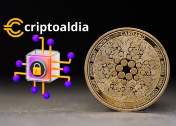 Cardano Impulsa la Privacidad en Blockchain: Innovaciones en su Cadena Lateral Pionera