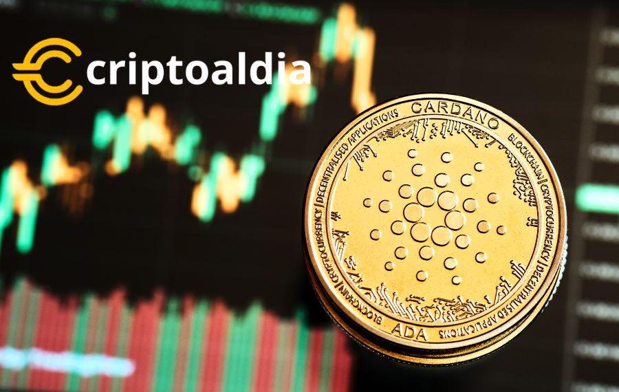 Cardano y el Presidente Antisistema: ¿Una Alianza Transformadora para Argentina?