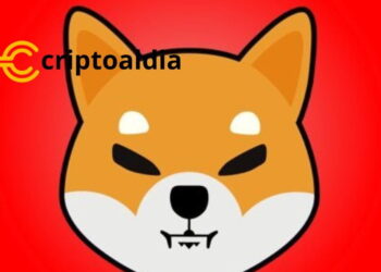 Lo mas destacado del MIERCOLES: SHIB se Dispara un 48000%, Desencadenando Expectativas de un Resurgimiento para Shiba Inu