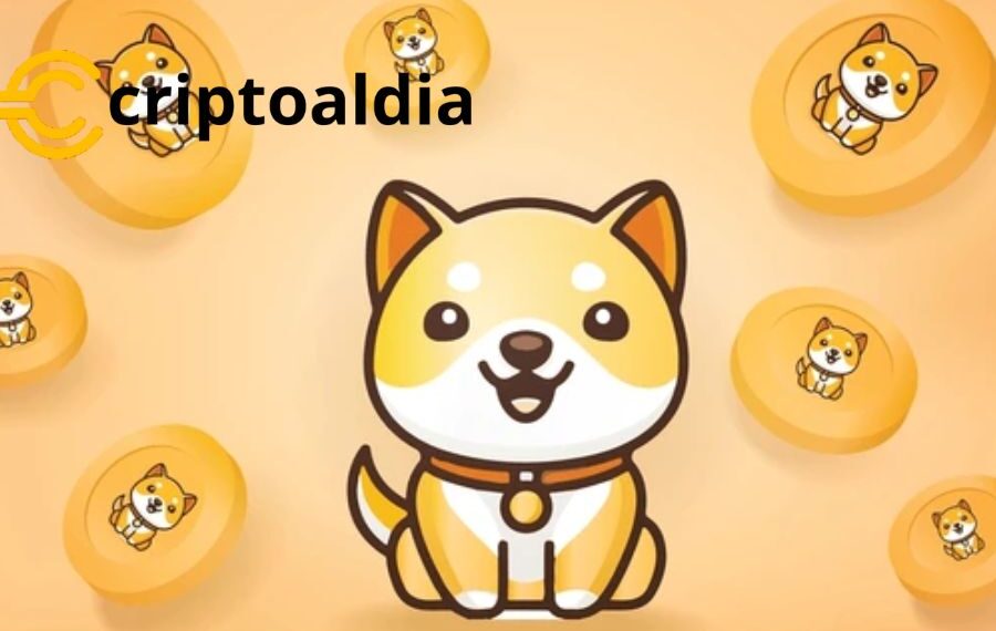 Baby Doge en la Cúspide: Revelamos Nuestra Audaz Predicción de Precio