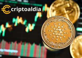 Cardano en la Encrucijada: Cambios en la Dinámica de Propiedad de ADA Despiertan Preocupaciones