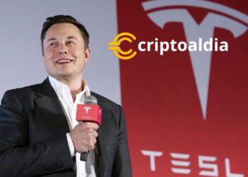 «Elon Musk Desata Polémica: Malinterpreta el Mantra de Autocustodia de Bitcoin»