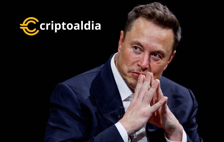 ¡Texas se Prepara para la Revolución Educativa! Elon Musk Revela sus Planes para una Universidad