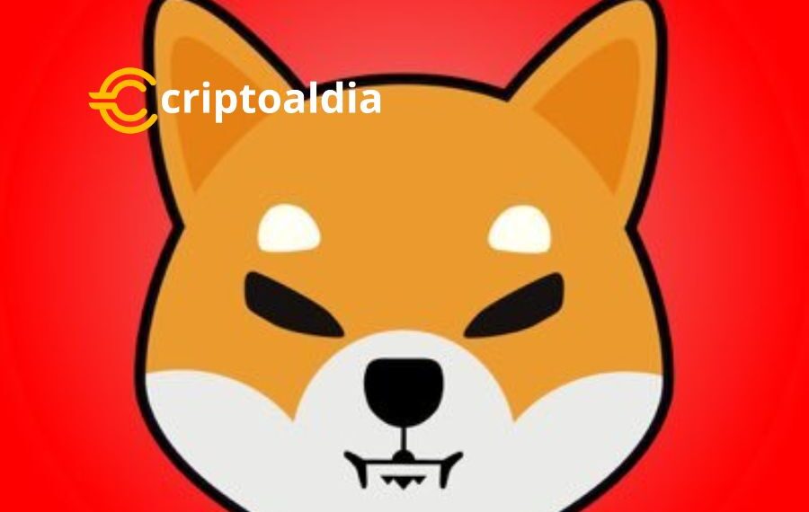 ¡Explosión de Emoción! Shibarium Anuncia Quema Épica de Shiba Inu Valorada en 1 Millón de Dólares