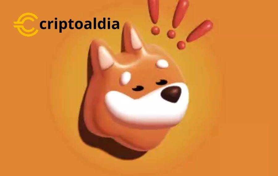 «Desplome Vertiginoso: BONK Se Desplaza en Picado, Perdiendo un 41% de su Valor»