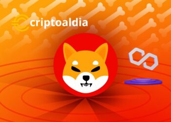 «¡Alerta Cripto! Shibarium Choca con ShibChain, la Nueva Fuerza DeFi respaldada por Polygon»