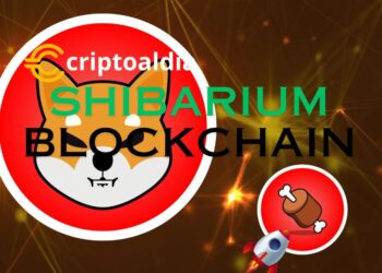 «Futuro Prometedor para BONE estrategias Innovadoras de Shibarium