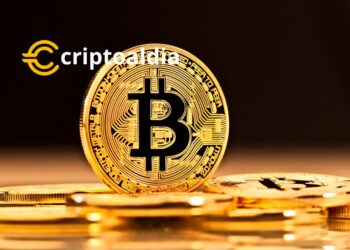 «Bitcoin y su Danza en Torno a los 42.000 Dólares: Una Mirada a la Volatilidad del Criptomercado»