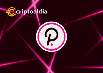 Una visión detallada de la estructura que impulsa la innovadora red de Polkadot
