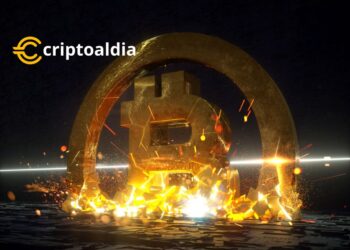 Bitcoin ha llevado a ganancias extraordinarias.