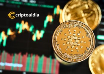 K33 cuestiona el valor de las transacciones de Cardano