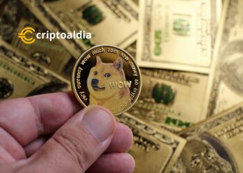 Transferencia de Dogecoins despierta especulaciones