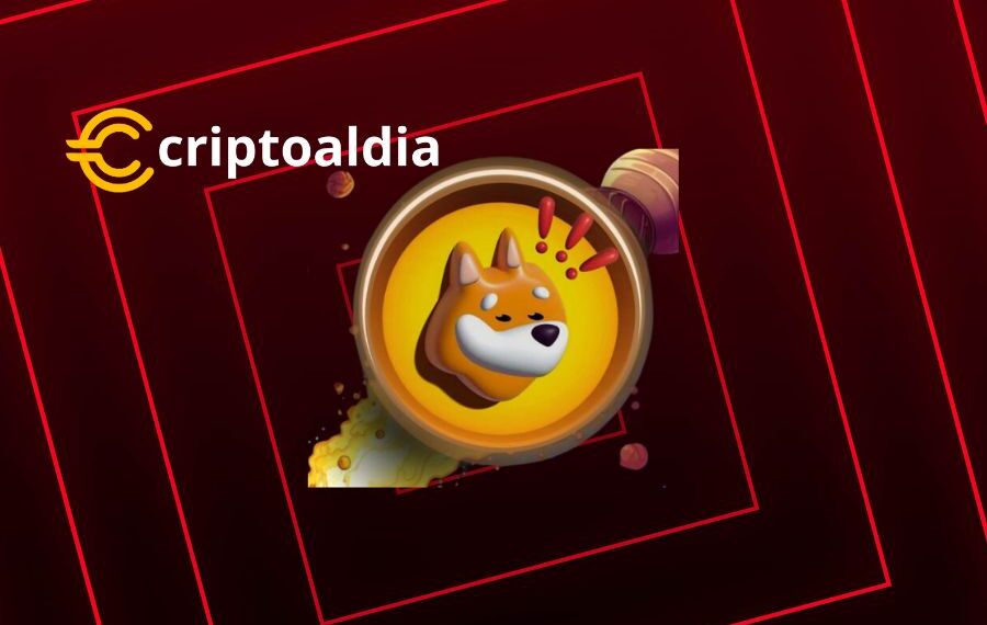 El ascenso continuo de Bonk en 2024 ilustra la fuerza y ​​la singularidad del mercado