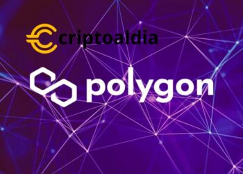 Revelaciones Impactantes sobre la Distribución de Tokens de Polygon