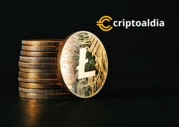 LTC: Desafíos y Oportunidades en Medio de Fluctuaciones