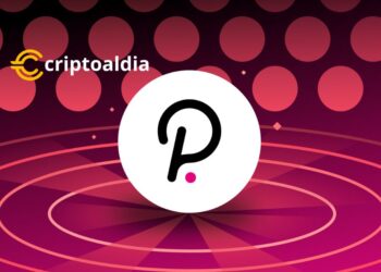 Polkadot destaca la importancia de una estrategia de inversión informada ya largo plazo.