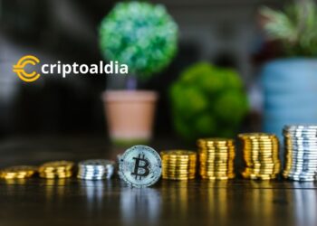 Bitcoin: Un Ecosistema Pujante que Desborda Innovación