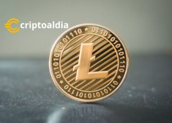 Perspectiva a Largo Plazo de Litecoin