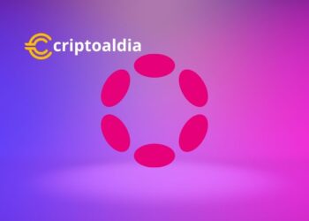 Polkadot (DOT): Un Ascenso Imparable desde sus Humildes Comienzos