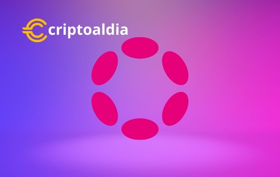 Polkadot (DOT): Un Ascenso Imparable desde sus Humildes Comienzos