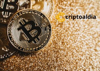 Bitcoin: La Pepita de Oro en la Era de las Finanzas Descentralizadas