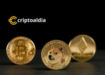 Dogecoin (DOGE): Una Ascensión Meteórica Desde sus Inicios