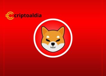 Shiba Inu va más allá de los gráficos de precios, siendo un fenómeno social