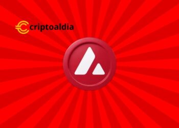 Elevando el Estándar con Soluciones A Medida para Avalanche