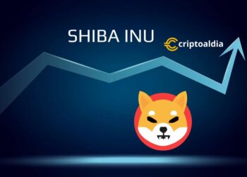 Increíble Ascenso de Shiba Inu: Una Historia de Ganancias Monumentales