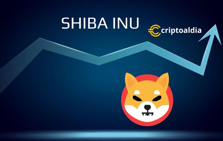 Increíble Ascenso de Shiba Inu: Una Historia de Ganancias Monumentales