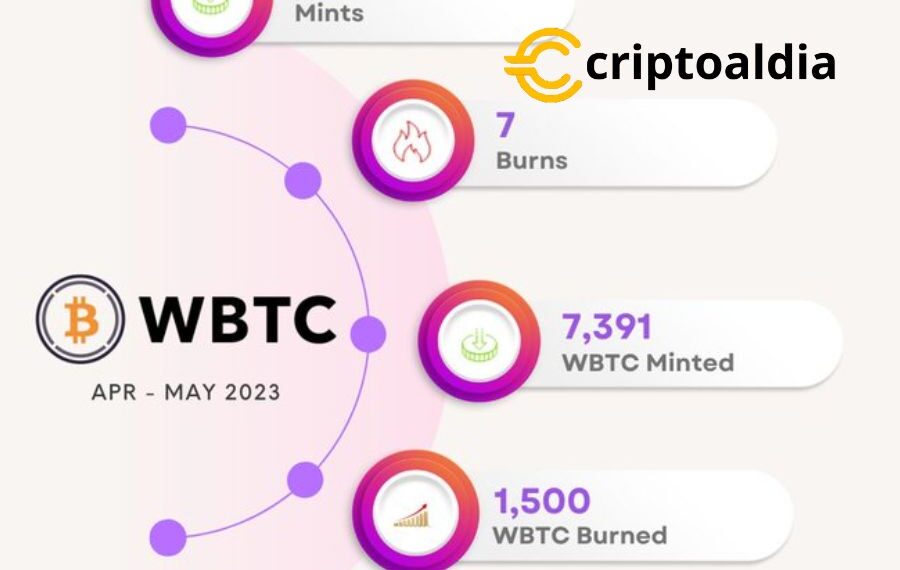 Desentrañando las Estadísticas de la Red WBTC en los Últimos 2 Meses