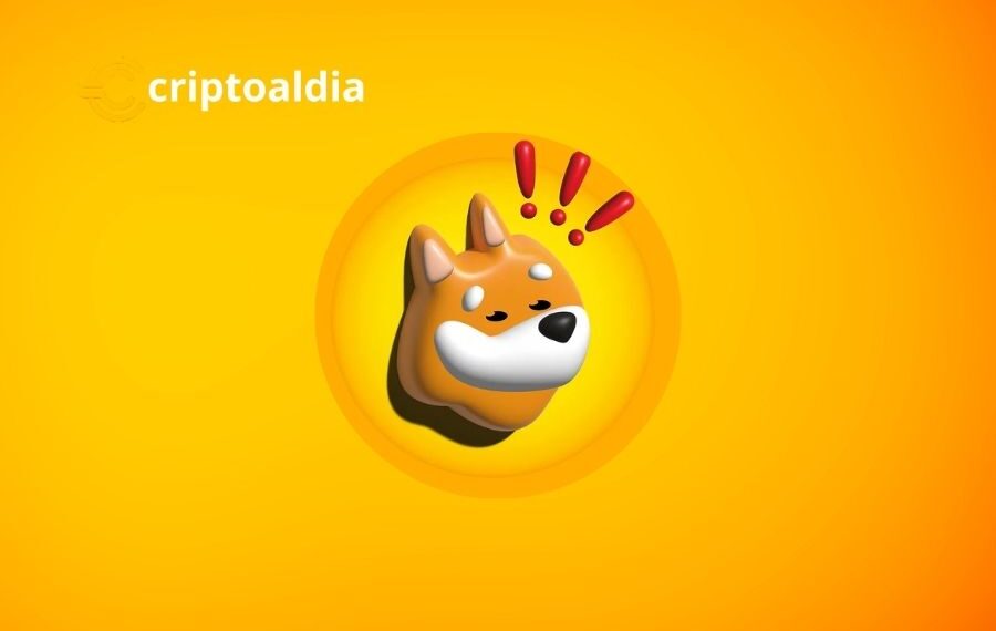 Bonk (BONK): Navegando las Olas Volátiles del Mercado Criptográfico