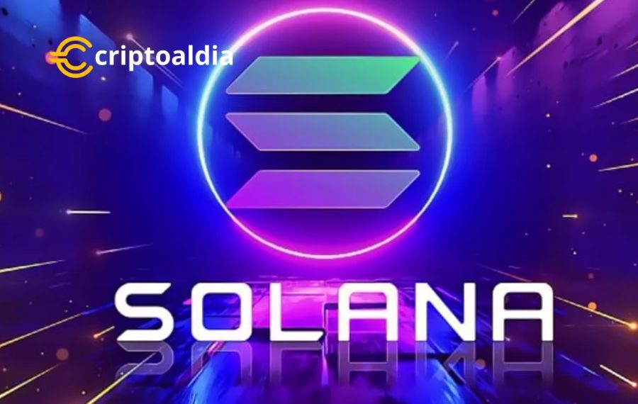 Solana ha experimentado una corrección significativa en su precio desde su máximo histórico