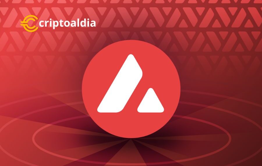 La próxima Avalanche Summit en Buenos Aires es más que una simple conferencia