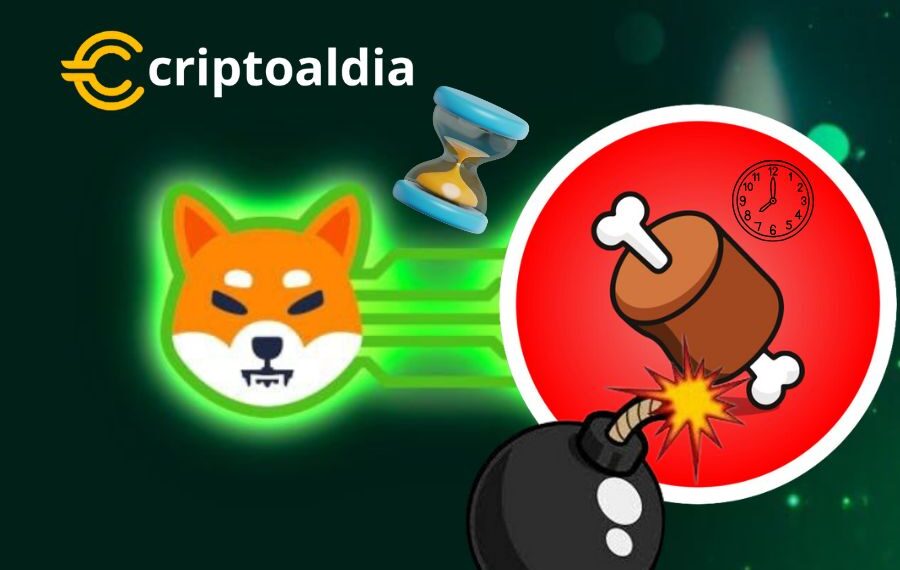 BONE de shibarium, el token que Sorprenderá a las grandes Blockchain