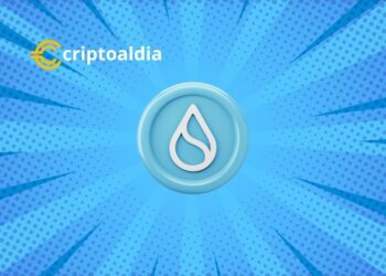 Sui: La Joya Oculta del Mundo de las Criptomonedas