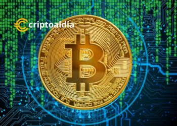 La ola Bitcoin hacia un futuro mejor